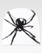 Spider Beanie