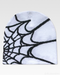 Spider Web Beanie