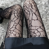Spider Web Fishnets